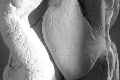 PLASTER_MODEL7