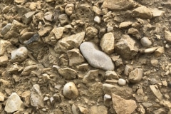 UNADJUSTEDNONRAW_thumb_1700f