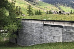 IMG_3490