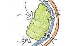 site_diagram